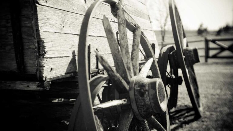 What Is Cricbet99 Com Bd Version Used For?